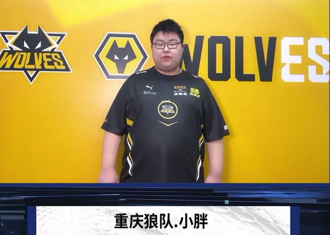 侵权 侵权